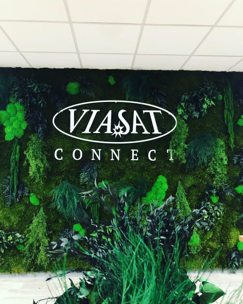 mut vegetal toulouse