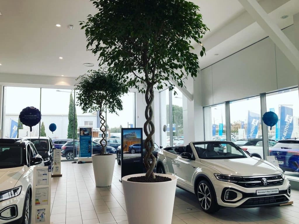 location plante toulouse