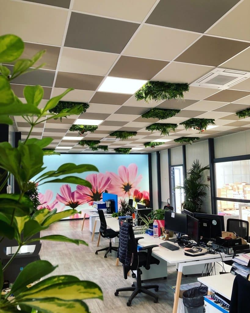 openspace et plantes toulouse