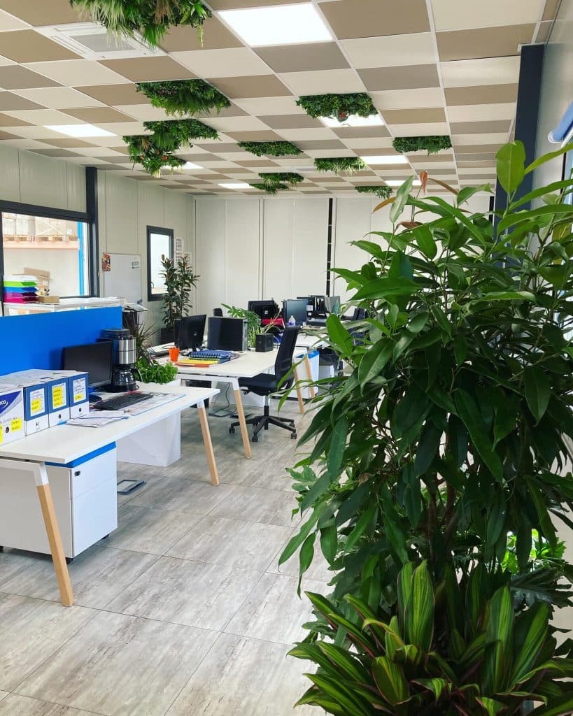 paysagiste interieur toulouse