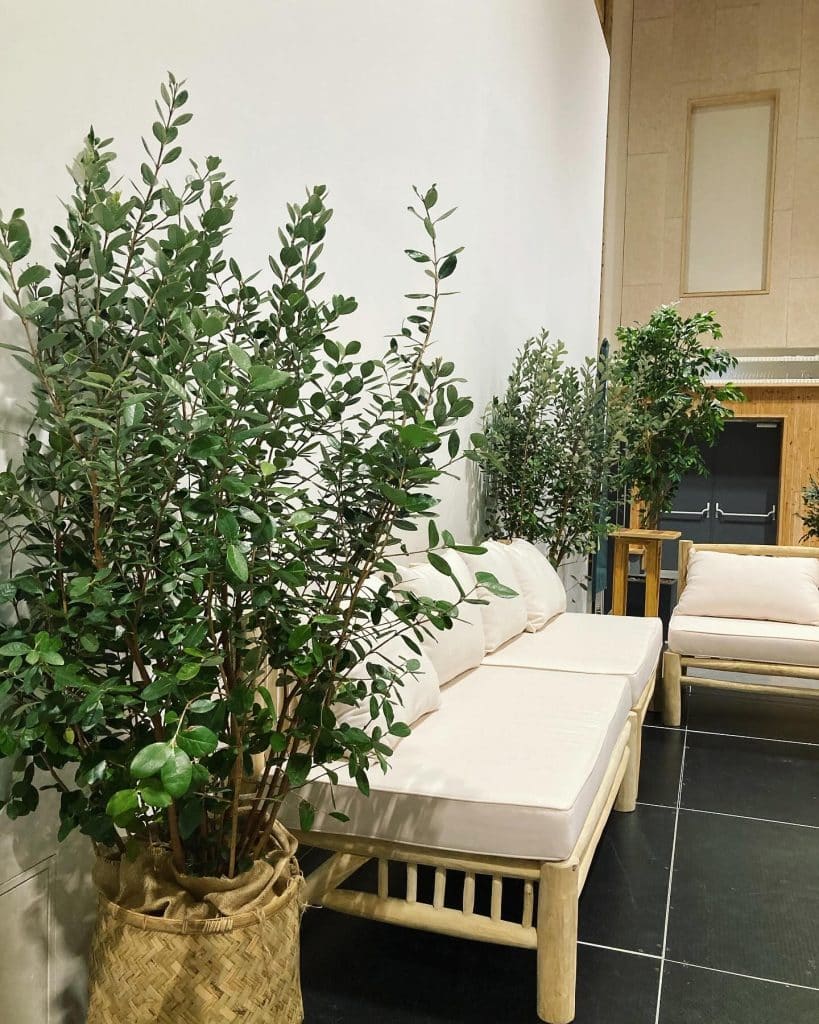 location plante toulouse