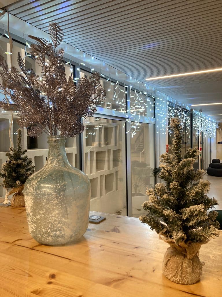 decoration noel Toulouse