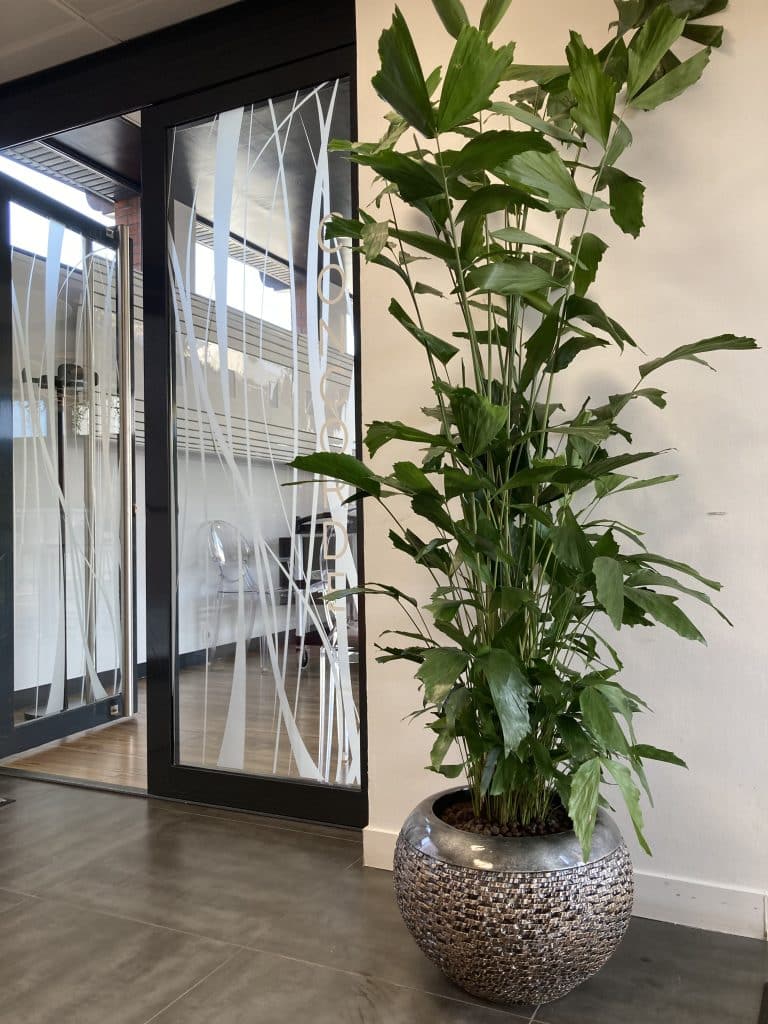 plante intérieur restaurant toulouse