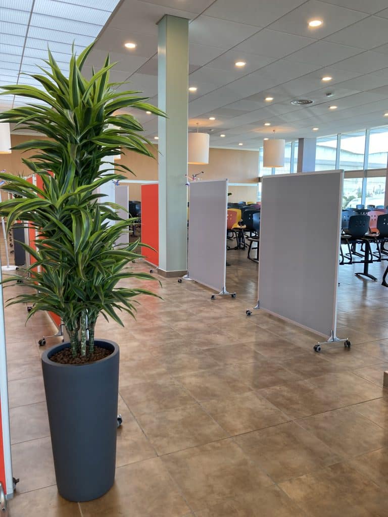 plante intérieur restaurant toulouse