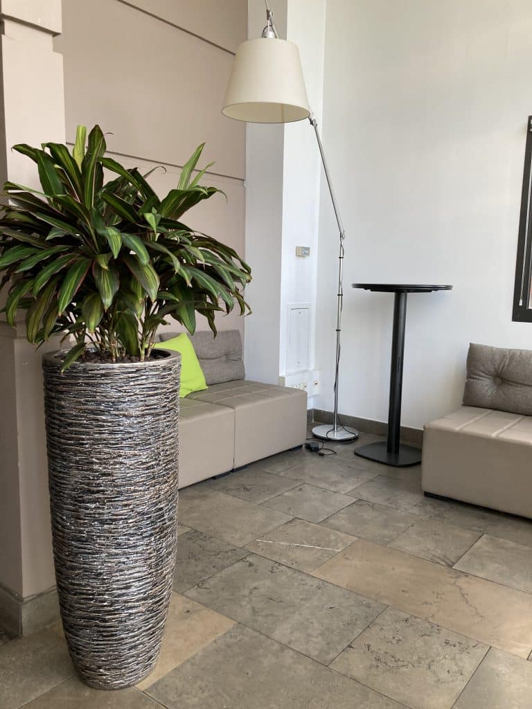 plante intérieur restaurant toulouse