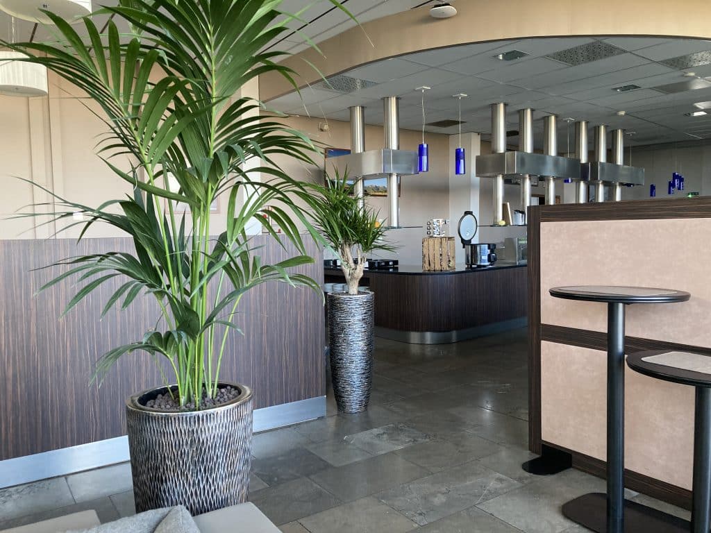 plante intérieur restaurant toulouse