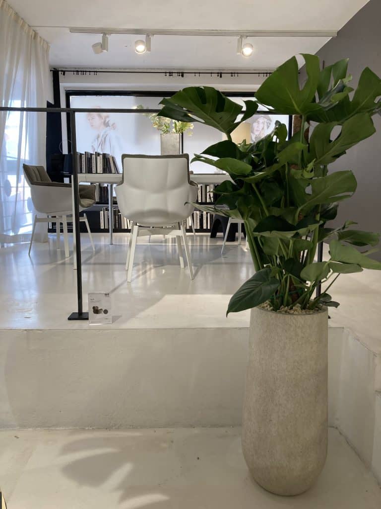 paysagiste interieur toulouse