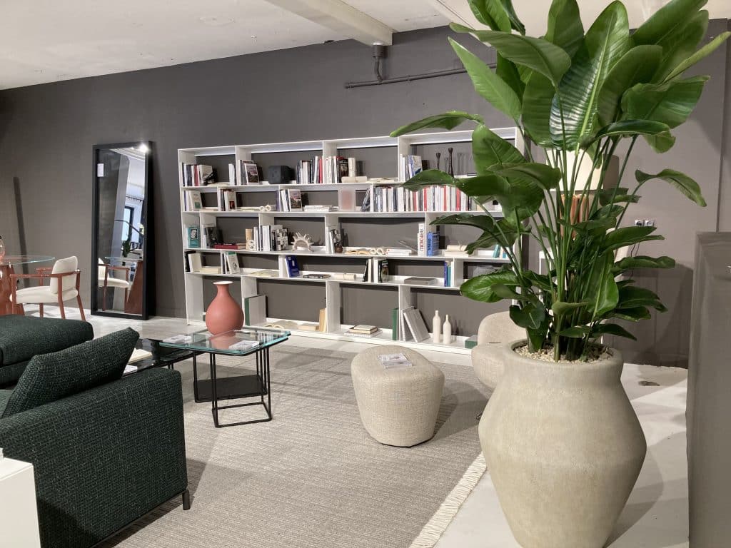 paysagiste interieur toulouse