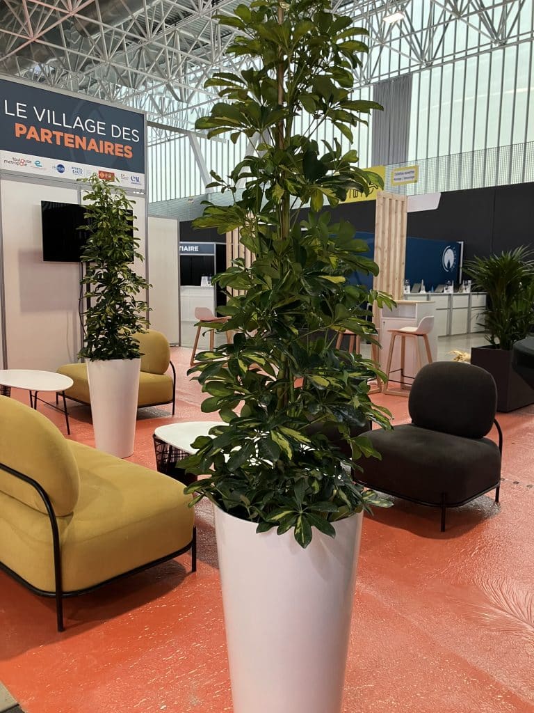 plantes d’intérieur en location pour salon professionnel à Toulouse décoration végétale stand