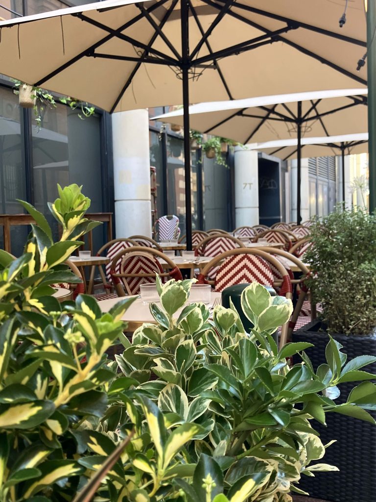 Végétalisation d’une terrasse de restaurant à Toulouse avec des plantes en pots
