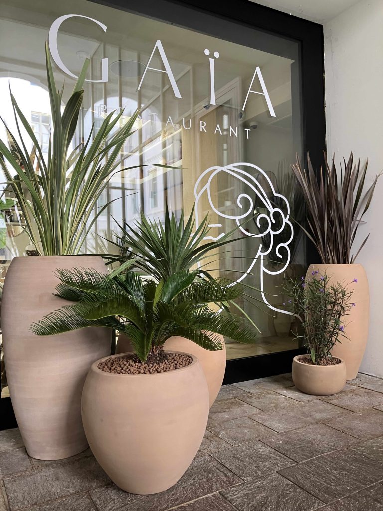 Plantes en terrasse d’un restaurant à Toulouse dans des pots décoratifs