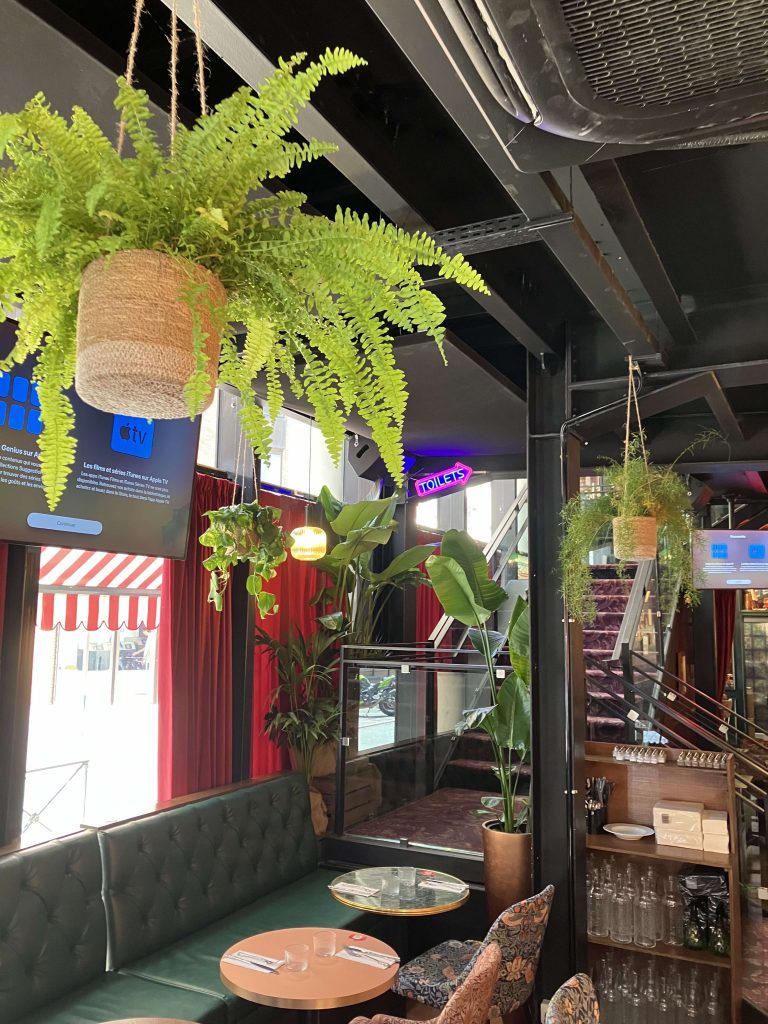 Végétalisation intérieure d’un restaurant à Toulouse avec des plantes décoratives